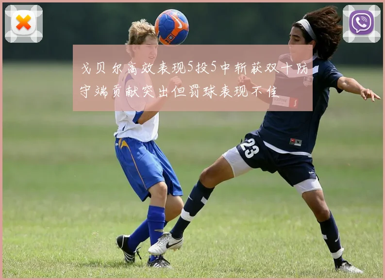 戈贝尔高效表现5投5中斩获双十防守端贡献突出但罚球表现不佳