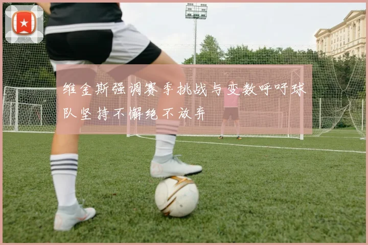 维金斯强调赛季挑战与变数呼吁球队坚持不懈绝不放弃
