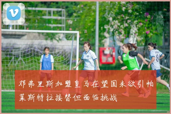 邓弗里斯加盟皇马在望国米欲引帕莱斯特拉接替但面临挑战